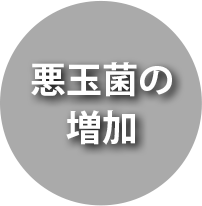 悪玉菌の増加