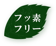 フッ素フリー